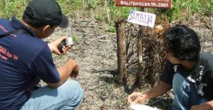 Identifikasi 10 Titik Kerusakan Lingkungan di Lahan Konversi