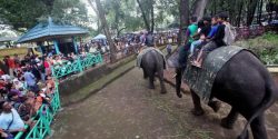 Kebun Binatang Bandung banyak Sampah, Ini Reaksi Ridwan Kamil