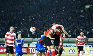 Aduh, Maung Tak Berdaya di Kandang Sendiri