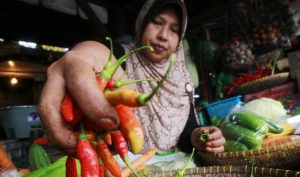 Koordinasi Lemah, Cabe Mahal