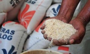 Bulog Harus Beli Harga Tinggi Gabah Petani
