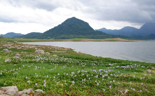Ilustrasi waduk di Jawa Barat. Foto Unsplash/Inna Safa.