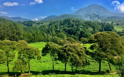 Ilustrasi langit cerah di Bandung. Foto: Nabil Azmi/Unsplash