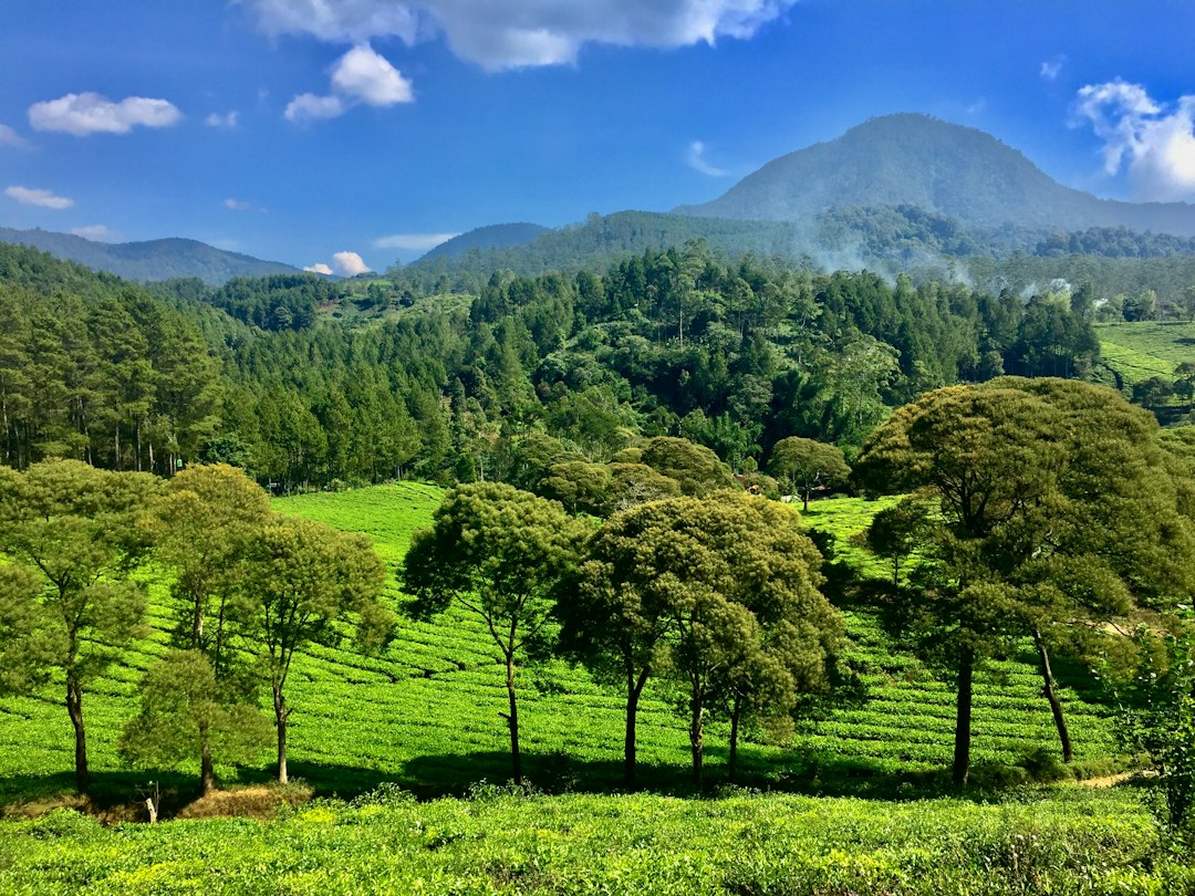 Ilustrasi langit cerah di Bandung. Foto: Nabil Azmi/Unsplash