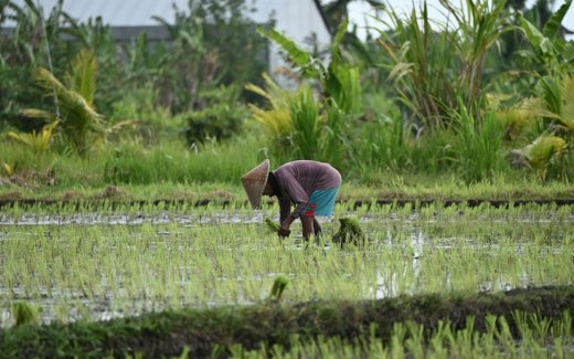 Ilustrasi pekerja sektor informal di Indonesia. Foto: Deny Napitupulu/Unsplash