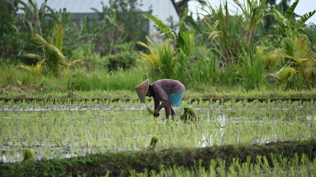 Ilustrasi pekerja sektor informal di Indonesia. Foto: Deny Napitupulu/Unsplash