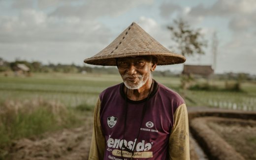 Petani di area pertanian sebagai ilustrasi regenerasi petani Kabupaten Bandung