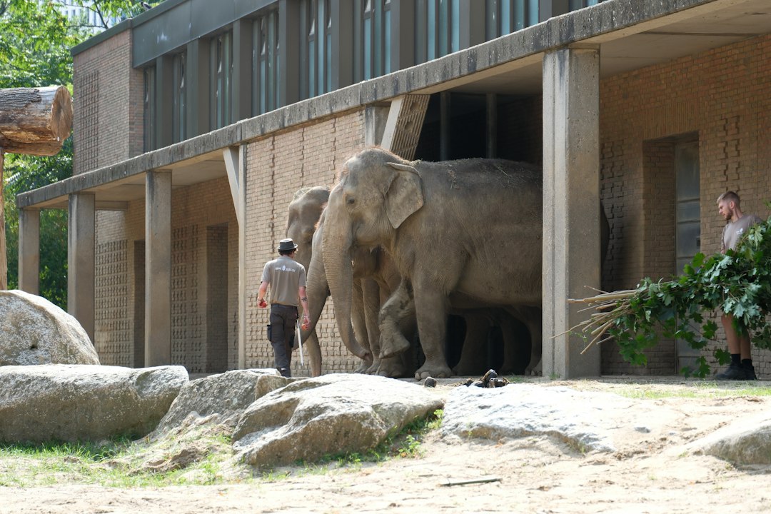 Satwa kebun binatang sebagai ilustrasi penyerahan bangunan Bandung Zoo